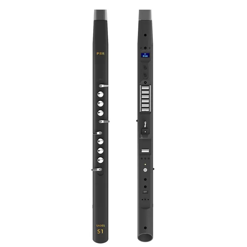Musical Instruments - Electric Wind Instrument, Beginner Friendly, Professional