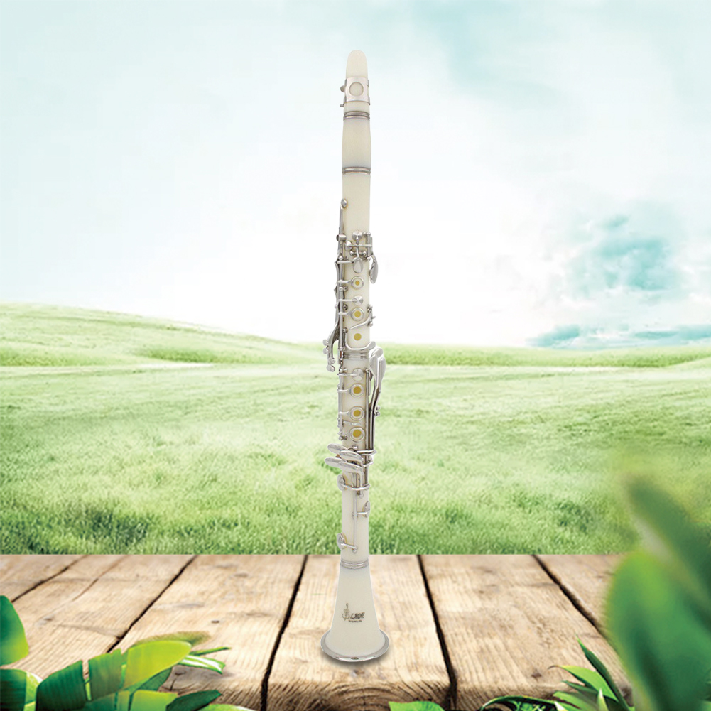 Bb Clarinet 17 Keys with Case  - Musical Instrument Reed ulasan dan harga