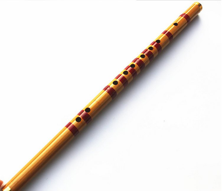 Children Learning Well Designe - Musical Instrument Piccolo ulasan dan harga
